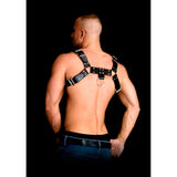 Costas Armor 2 Bonded Leather Harness One Size