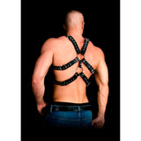 Andres Masterpiece Bonded Leather Harness One Size